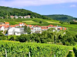 Hotel Südpfalz-Terrassen, ξενοδοχείο σε Gleiszellen-Gleishorbach