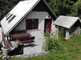 Apartment Zorc, Hotel in Trenta