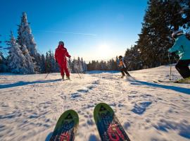 Pension Hochficht, hotel v destinaci Klaffer am Hochficht