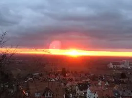 Fritsch Häusel