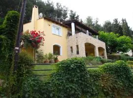 Six Steps From The Forest