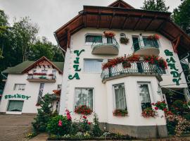 Szandy, hotel with jacuzzis in Sovata