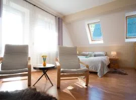 Apartament Droga na Bystre