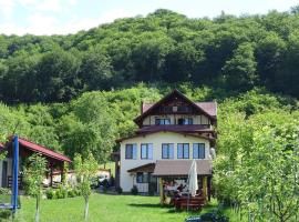 Casa din Salcami, Hotel in Polovragi