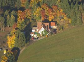 Haus Sonnenberg, Cottage in Willingen