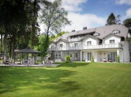 Villa Park Wisełka Spa & Wellness, B&B din Wisełka