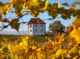 Wine Grower's Mansion Zlati Gric, hotell i Slovenske Konjice