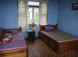 Vamoose Borong Polok Village Homestay, habitación en casa particular en Ravangla