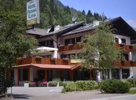 Hotel Regina Elena