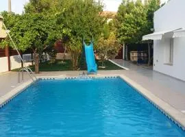 Alekas Pool and Garden Home