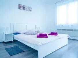 Apartman Višnja