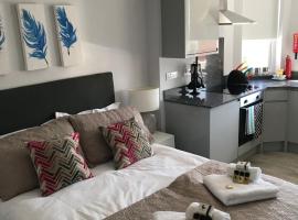 Berkshire Serviced Apartment Helena 12, hotel in Reading