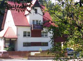 Domlesny, hotel para famílias em Kiczora