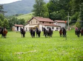 Agriturismo Carovane