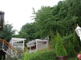 Studio Apartmani PERGOLO Centar