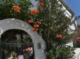 Πικροδάφνες, hotel in Tinos Town