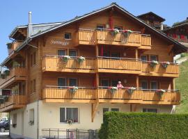 Sunnegga, hotel v destinaci Grächen
