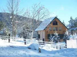 Kuca u borju - House in pines