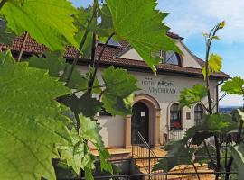 Hotel Vinohrad, hotel v Miloticích