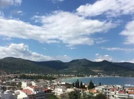 Luxury View