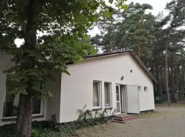 Pokoje Delfin Hostel