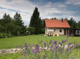 Stay In Touch, casa rural en Gospić