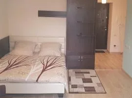 NEW апартаменты в центре на Другетов