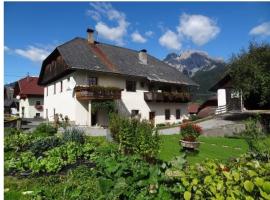 Lissis Bauernhof Appartments，Gundersheim的飯店