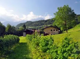 Quader nidi nel verde