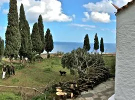 Strongilos Homestay