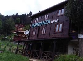 Esperanza Apart & Pension, country house in Ayder Yaylasi