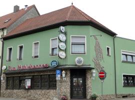 Zum Mühlehannes, pet-friendly hotel in Rohrbach