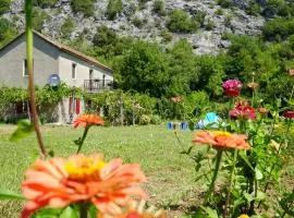 Camp Podkraj