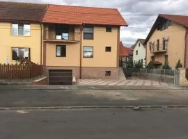 Casa in zona linistita, Campia Turzii
