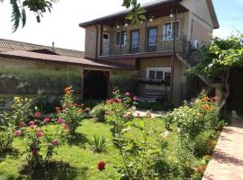 Casa Lenuta: Mila Douăzeci şi Trei şehrinde bir otel