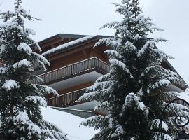 Les 4 Elements, leilighetshotell i Châtel