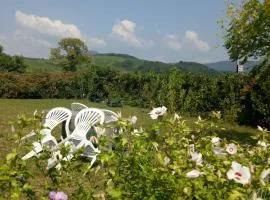 Le clos des vignes
