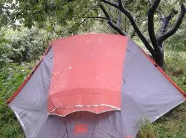 Issyk-Kul - Camping Grigoryevka
