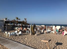 Playa Dos Avenidas, hotel v destinaci Alicante