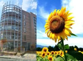 Casa dei girasoli