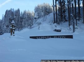 Villa Erika, hotel em Sappada