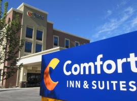 Comfort Inn & Suites Boise Airport, hotel near Boise Airport - BOI, 