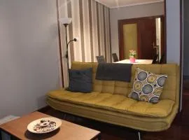 Bilbao center apartamento 2 hab Parking Privado