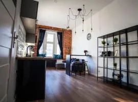 Apartament LOFT Industrial EC1