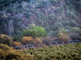 Lions Rock Rapids - Luxury Tented Camp