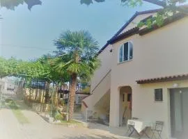 Apartments Folo