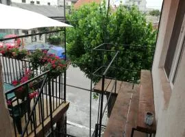 Vila Emy Constanta
