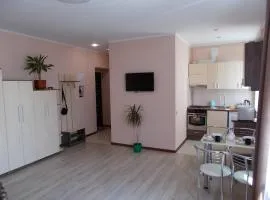 Apartment near the Forum mall