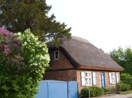 Alte Kate mit Bau-& Zirkuswagen im Gartenidyll in Putbus OT Kasnevitz