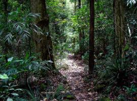 Springbrook Lyrebird Retreat ลอดจ์ในสปริงบรูค